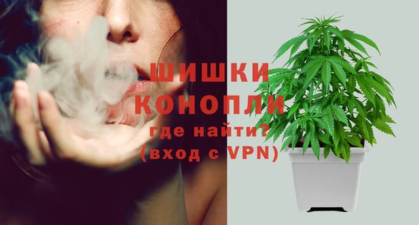 ГАЛЛЮЦИНОГЕННЫЕ ГРИБЫ Семёнов