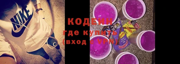 ГАЛЛЮЦИНОГЕННЫЕ ГРИБЫ Семёнов