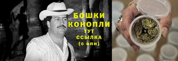 соль ск Заводоуковск