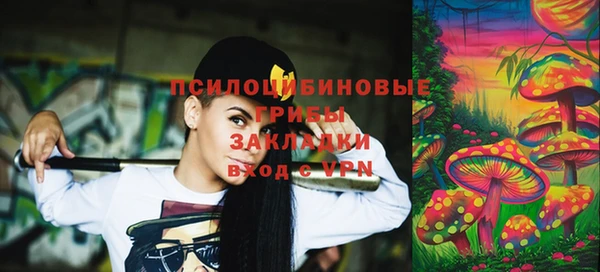 ГАЛЛЮЦИНОГЕННЫЕ ГРИБЫ Семёнов