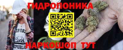 прущие грибы Малгобек