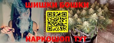 прущие грибы Малгобек
