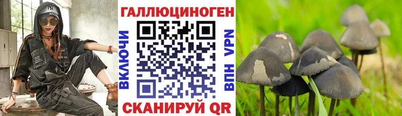 Галлюциногенные грибы MAGIC MUSHROOMS  Спасск-Дальний 