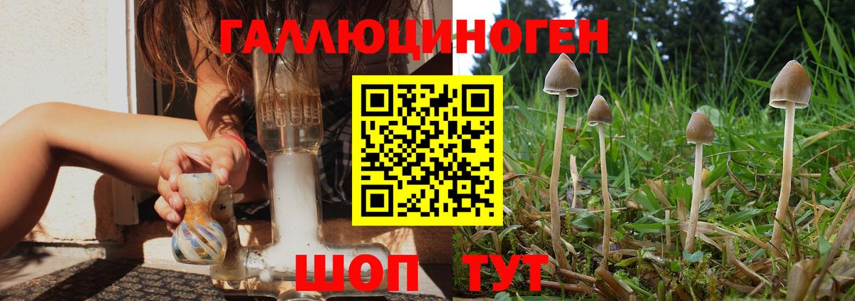 Псилоцибиновые грибы мухоморы  Спасск-Дальний 