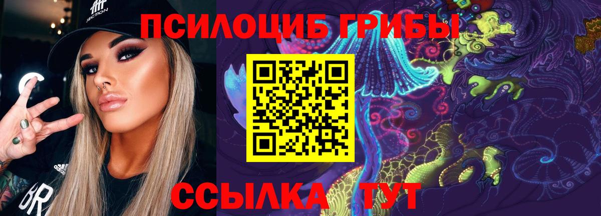 Спасск-Дальний  Галлюциногенные грибы прущие грибы  Галлюциногенные грибы Cubensis  Вход с VPN 